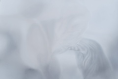 Gefühlte Welt , 2023, Pastell auf Papier, 70 x 100 cm