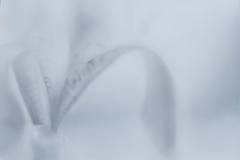 Gefühlte Welt , 2023, Pastell auf Papier, 70 x 100 cm 