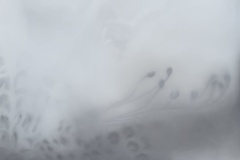 Gefühlte Welt , 2023, Pastell auf Papier,  50 x 70 cm 