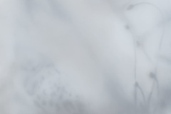 Gefühlte Welt , 2023, Pastell auf Papier,  50 x 70 cm 