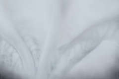 Gefühlte Welt , 2023, Pastell auf Papier,  50 x 70 cm 