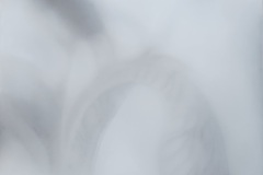 Gefühlte Welt , 2023, Pastell auf Papier,  50 x 70 cm 