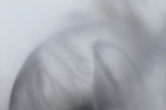 Gefühlte Welt , 2023, Pastell auf Papier,  50 x 70 cm 