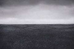 Gefühlte Welt , 2024, Pastell auf Papier,  50  x  70 cm 