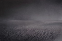 Gefühlte Welt , 2024, Pastell auf Papier,  18 x  24cm 