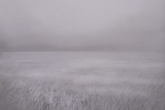 Gefühlte Welt , 2024, Pastell auf Papier,  18 x  24cm 