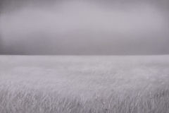 Gefühlte Welt , 2024, Pastell auf Papier,  18 x  24cm 