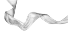 1_img20240726_11475436_bw