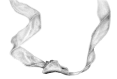 img20240726_11421436bw-1