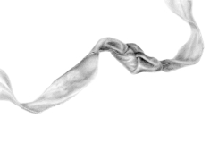 img20240726_11453609bw-1