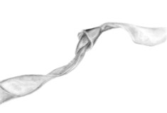 img20240726_11485681_bw-1