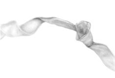 img20240726_11494515_bw-1