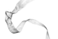 img20240726_11512199_bw